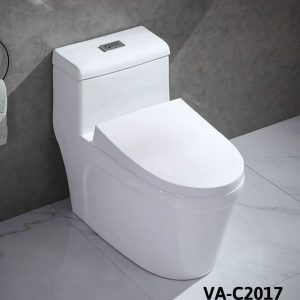 Bồn cầu liền khối VA-C2017